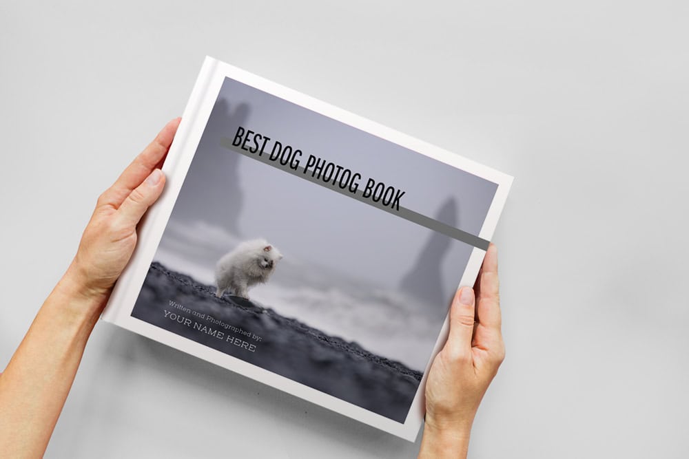 Book cover with photograph of Pomeranian on a beach with hands holding it. 