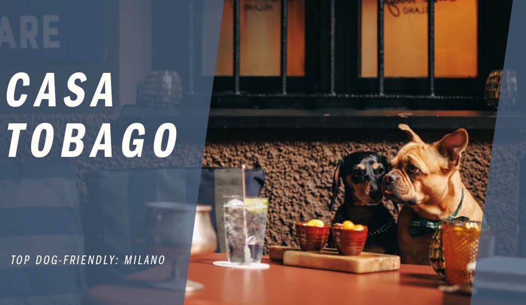 Casa Tobago Serves Hip Vibes to Cool, Wet Noses