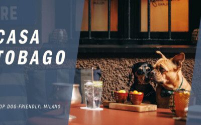 Casa Tobago Serves Hip Vibes to Cool, Wet Noses